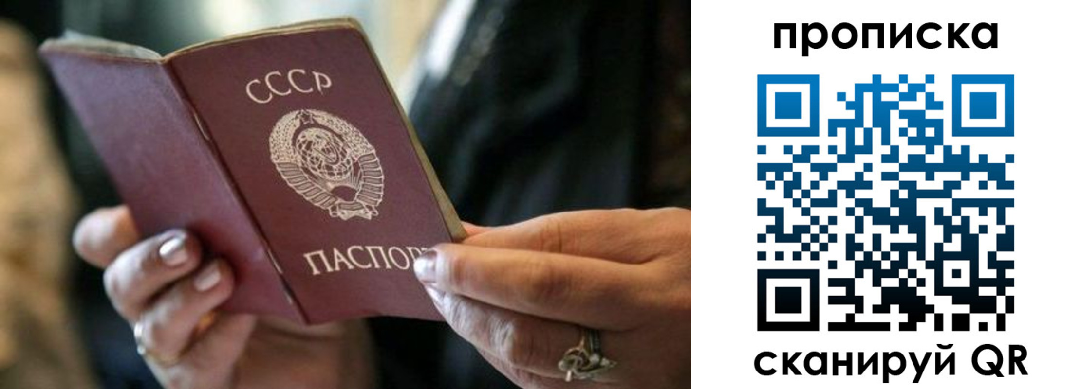 пропишу в квартире в Калининградской области